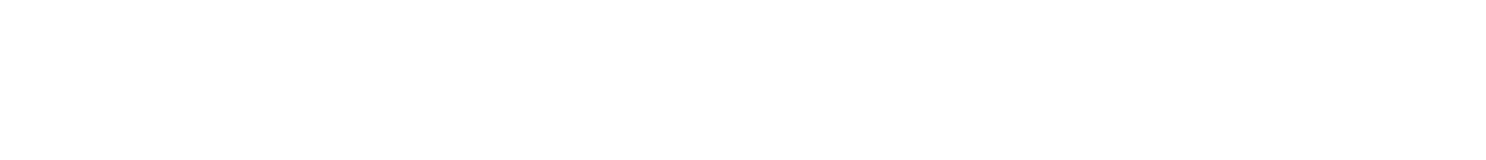 Baton Rouge Area Foundation logo